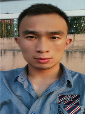 LI Qi