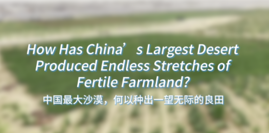 How Has China’s Largest Desert Produced Endless Stretches of Fertile Farmland？